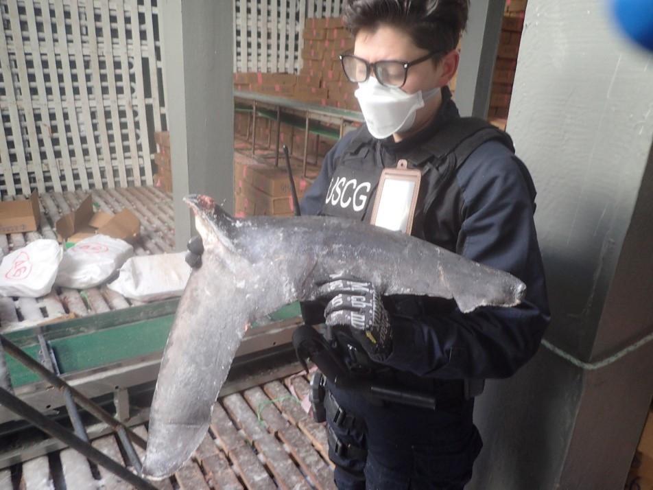 DIU_x's tweet photo. 450 #sharkfins were just uncovered during @USCG boardings in the Pacific. A big challenge in detecting &amp; defeating #IUUFISHING is targeted effective intel-driven #enforcement info. Be part of the solution: https://t.co/Det1TFI3gd @LeoDiCaprio @GlobalFishWatch @NOAA #xview #AI https://t.co/ApcNFsGw65