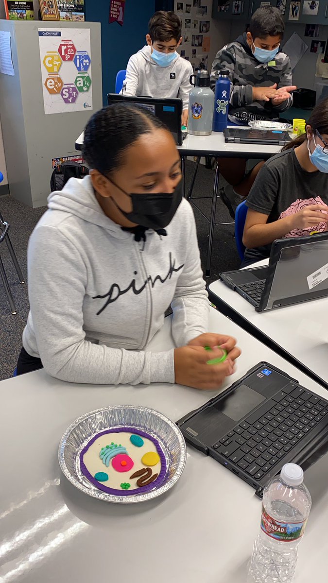 Penny Scarbrough tweet media