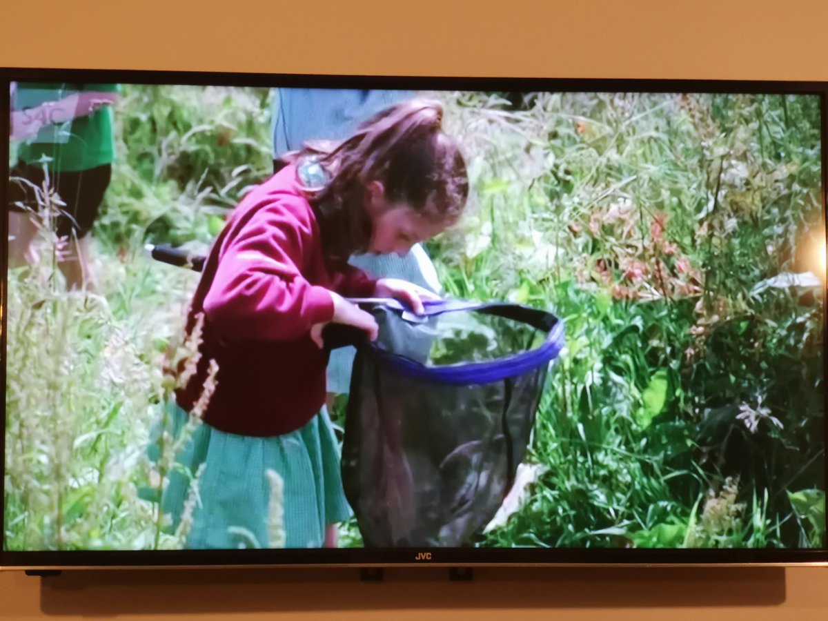 IfanYsgol's tweet photo. Wel, be fedrai ddeud? Son am raglen difyr @S4C! Da ni gyd yn falch iawn o gyfraniad y 🌟bach ar Pobl Y Parc 🎬😁👍🏻Diolch am y cyfle @CwmniDa @ELINtomos https://t.co/jpomA5b2Xl