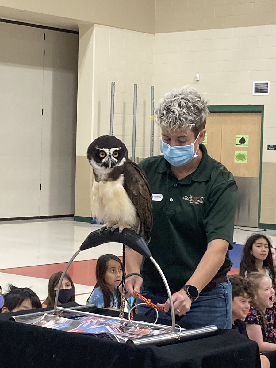 Kallison3rdGr's tweet photo. 3rd grade students enjoying animals from Barn Hill Preserve! @NISDKallison #leadthecharge https://t.co/f4jWaqFOIZ