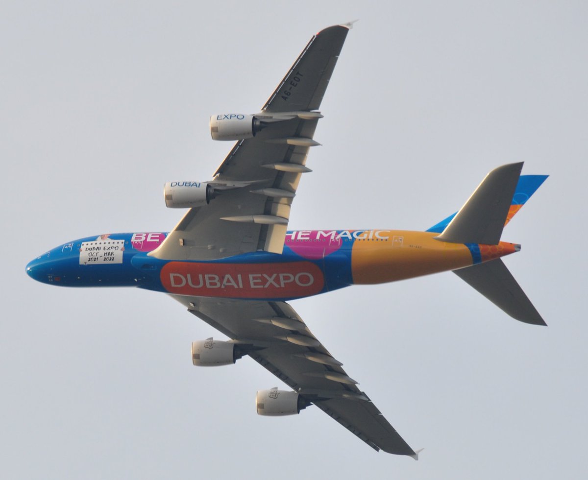 LEBB'spotting tweet media