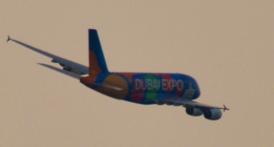 LEBB'spotting tweet media