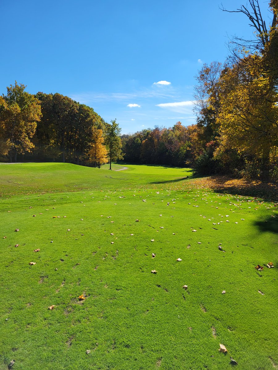 MikeIrish18's tweet photo. After a brief frost delay, played this beautiful Pete Dye hidden gem. Great conditions for this time of year. Strongly recommend playing this course if you are in the Indy area the next couple #EagleCreekGC #NovemberGolf #Golf https://t.co/Wq7IzJtbFh