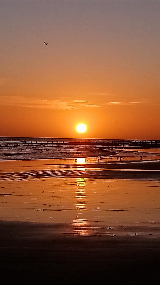 kerryrecep tweet media