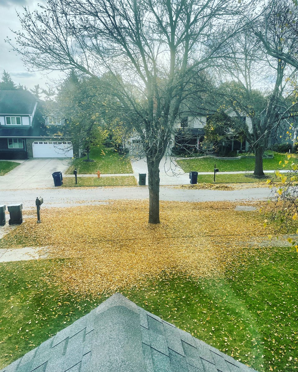 Greg Dutra tweet media