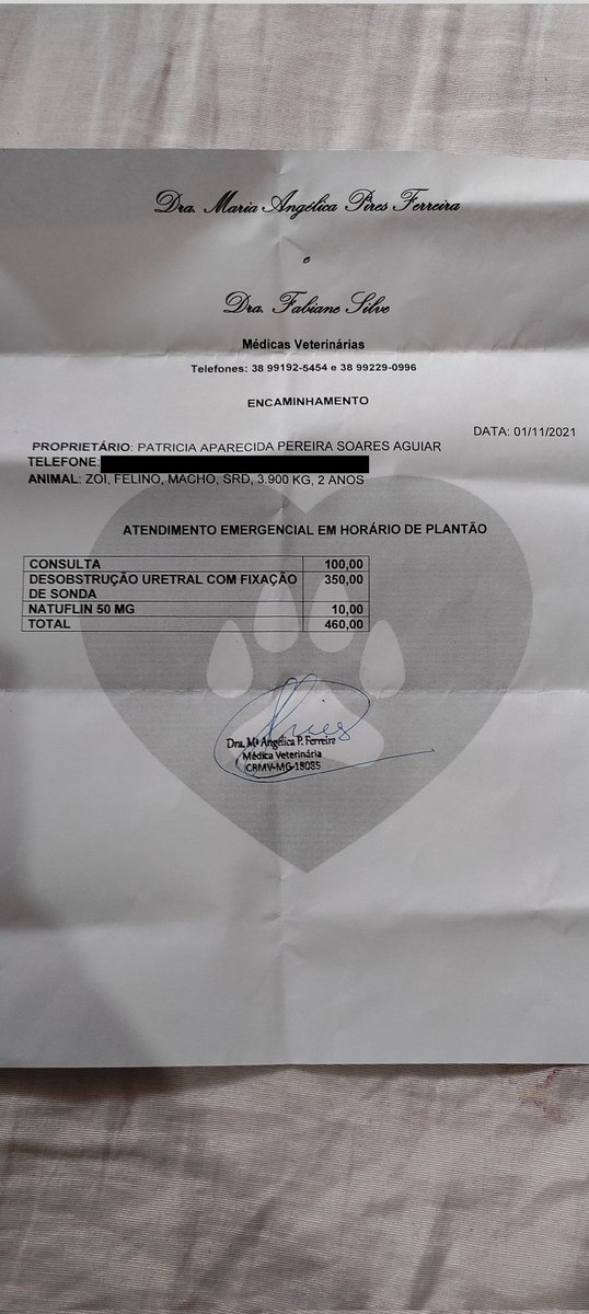 granadaholmes's tweet photo. gente meu gatinho fez uma desobstrução uretral de emergência pois ele corria o risco de morrer caso não passasse por esse procedimento

eu e minha mãe estamos desempregadas desde o início da pandemia então usamos nosso cartão pra arcar com a cirurgia mas não temos como pagar + https://t.co/WO3mbueDgL