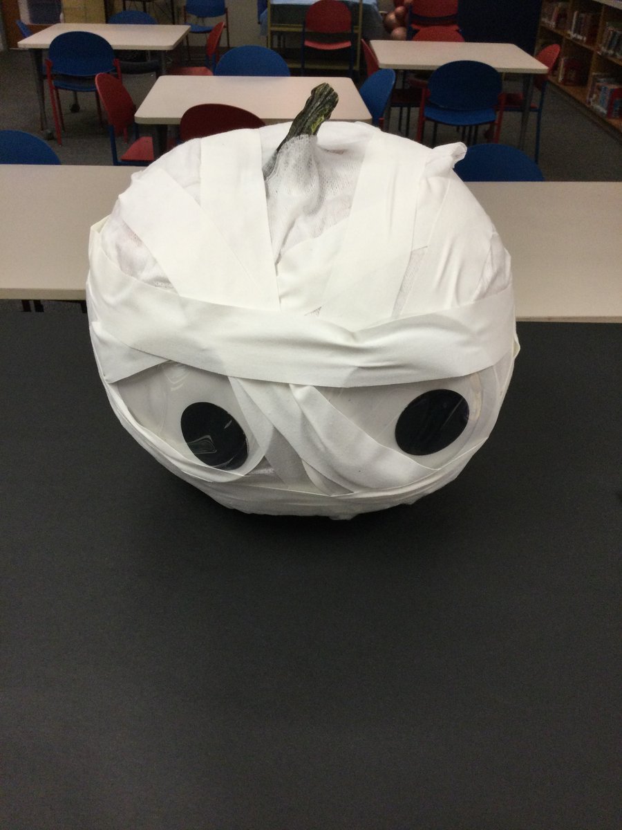 Townley Elementary Library tweet media
