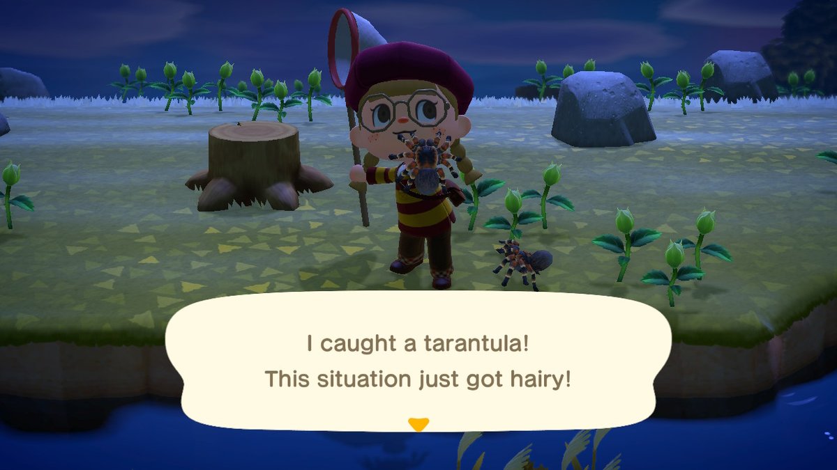 ConsultingMary's tweet photo. I smell danger #AnimalCrossing #ACNH https://t.co/tLkv23pgS0