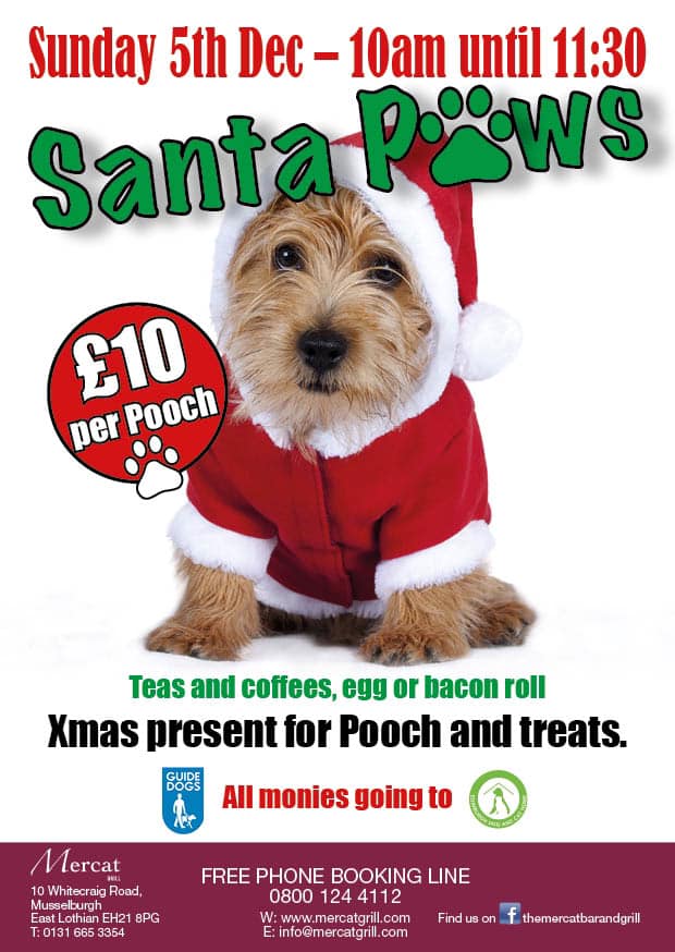 Mercatgrill's tweet photo. Our Santa Paws event is back! Bring your pooch along for some festive fun on 5 Dec (10-11:30am). All proceeds to @EdinDogCatHome and @guidedogsscot. Tickets are £10. @dugsNpubs https://t.co/SBankonHLY
