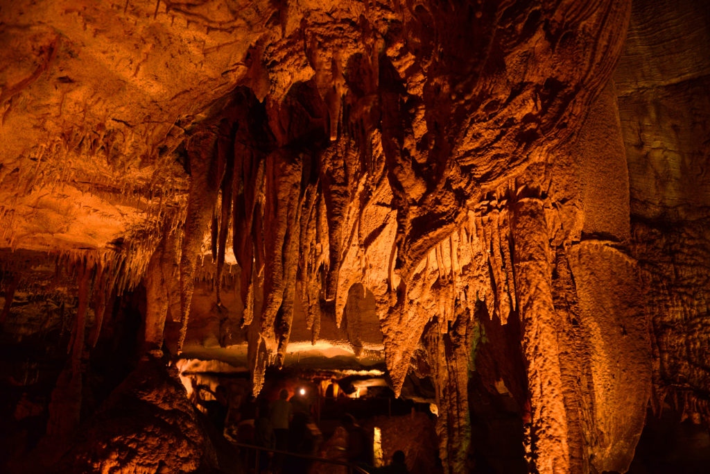 Whether you are a thrill seeker looking for an adventurous exploration of a cave, or like the intimate, magical side that caves offer, the U.S has plenty to offer. Here are ten of the most amazing caves in the United States. 

l8r.it/9cKF