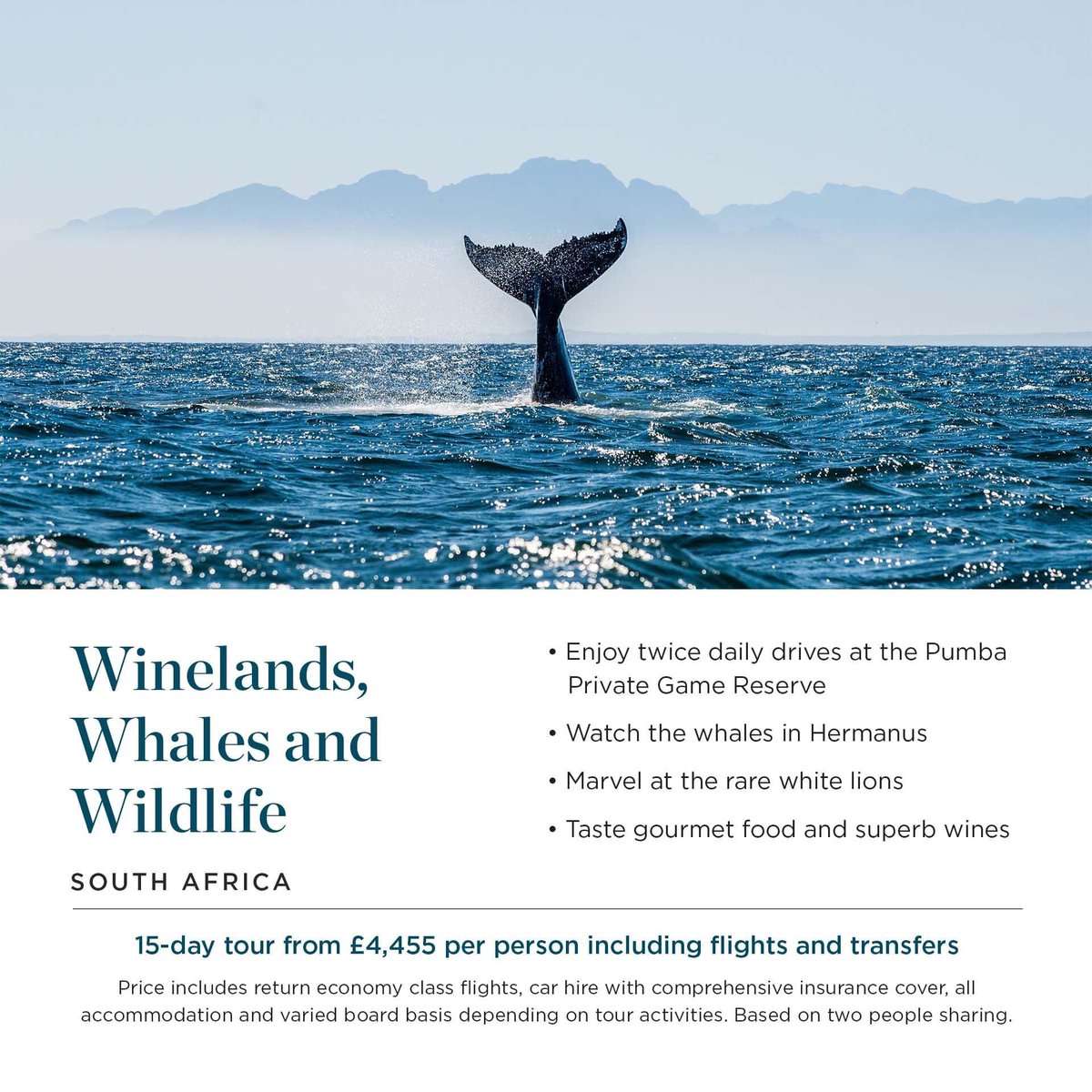 gbatestravelman's tweet image. A selection of incredible experiences from our Rainbow Tours focus week #rainbowtours #ITCTravel #focusweek @RainbowToursUK @ITCTravel