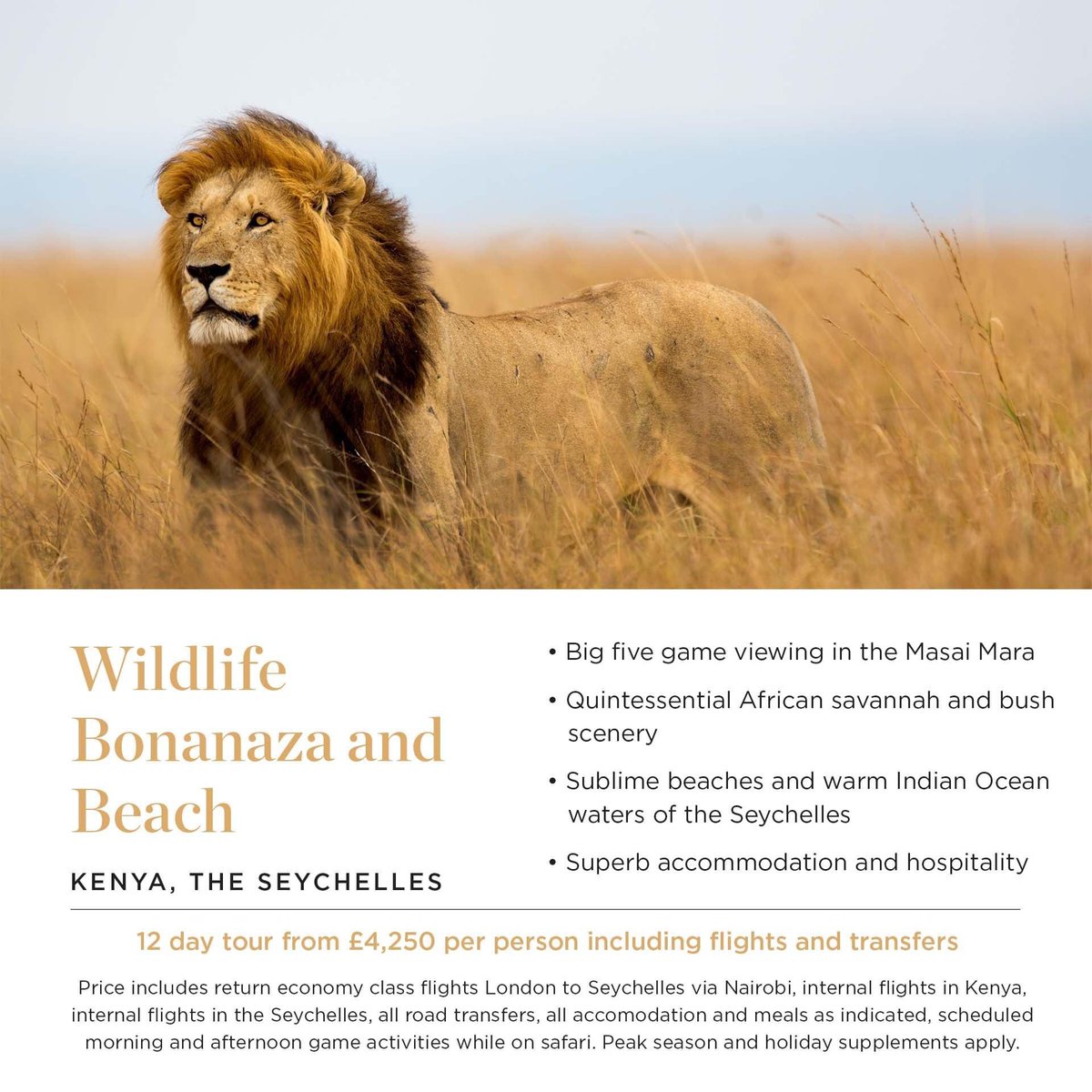 gbatestravelman's tweet image. A selection of incredible experiences from our Rainbow Tours focus week #rainbowtours #ITCTravel #focusweek @RainbowToursUK @ITCTravel