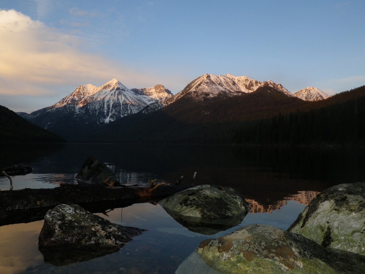USGS_MT's tweet photo. New study shows invasive, predatory lake trout progressively disrupted foodwebs & displaced #nativefish, including threatened #bulltrout, in MT lakes over time. Research by @FLBSUM @USGS @MontanaFWP: https://t.co/3JEegZbUb3
#invasivespecies #USGS_NOROCK #USGSEcosystems https://t.co/izy4u7pUTN