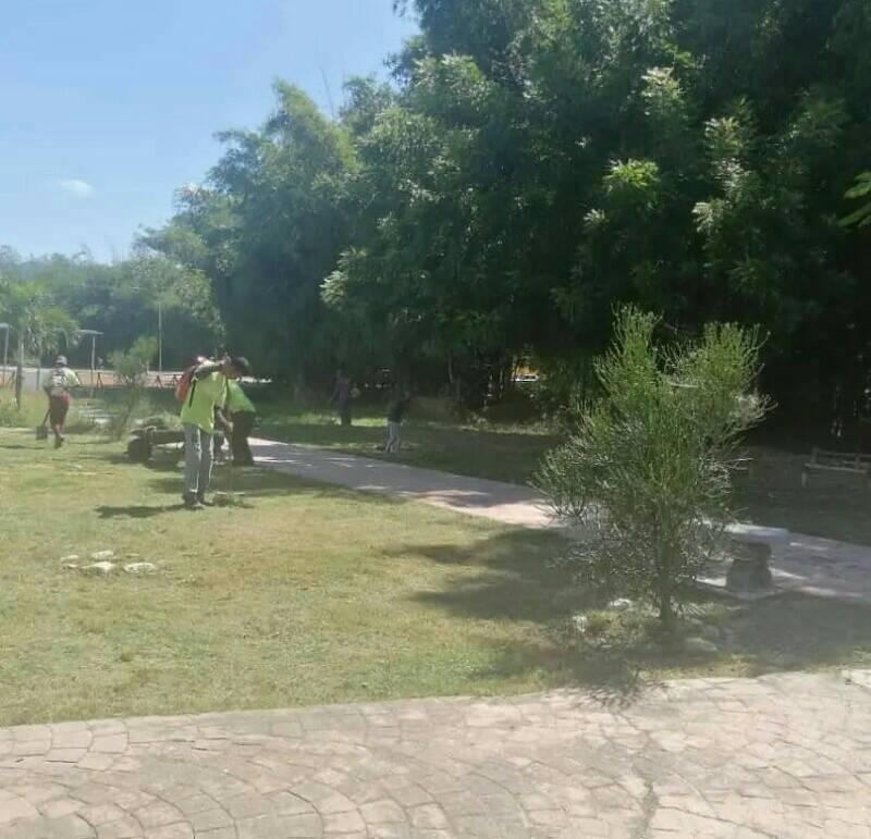 TcRoques's tweet photo. #SeguimosEnDespliegue @alcaldia_zamora de la mano de nuestro alcalde @martinezhugor con el #PlanZamora continua la limpieza, desmalezación y recolección de desechos sólidos y orgánicos en #Zamora.

Somos #RedZamora Somos #TropaC4
#HagamosHistoria

@red.zamora
@tropac4 https://t.co/izTYqv9vZr