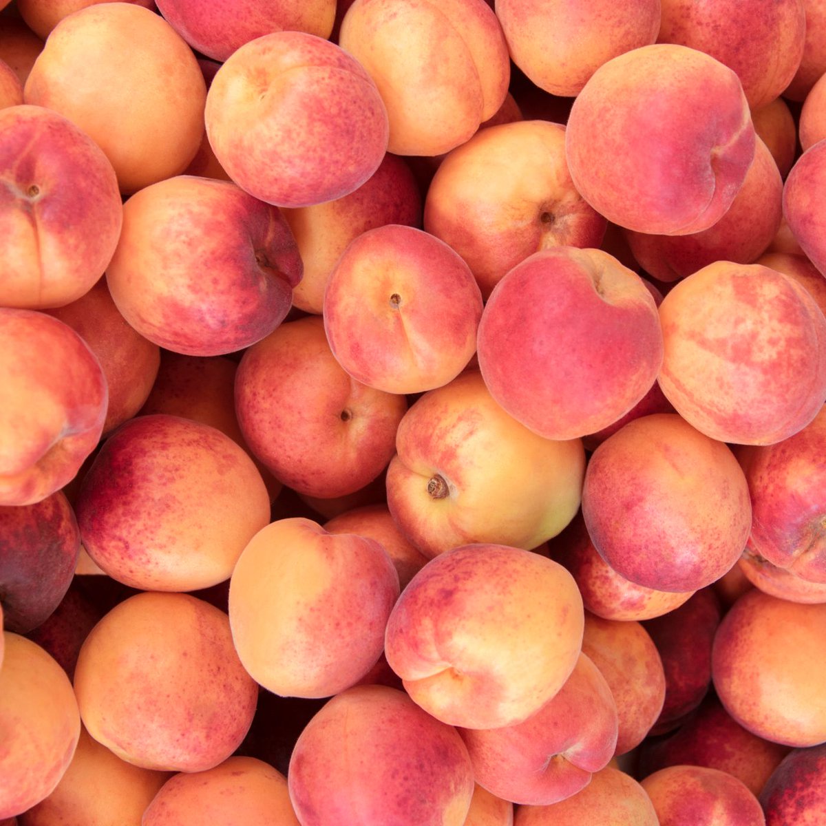 theheatherhogan's tweet photo. Using only food, where did you grow up? https://t.co/bRqCk87Uo3