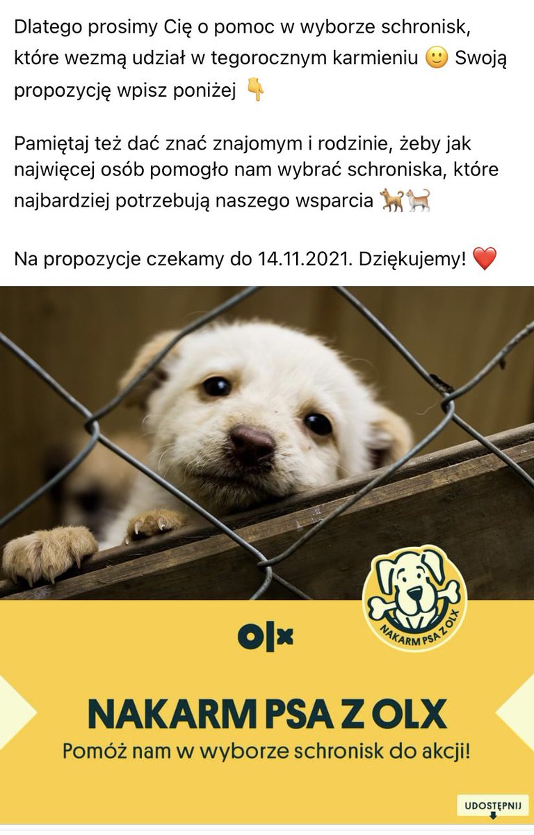 travisavage's tweet photo. 📣 rusza kolejna edycja nakarm psa z olx, już 14.11!! https://t.co/kO7X6Ap7kK