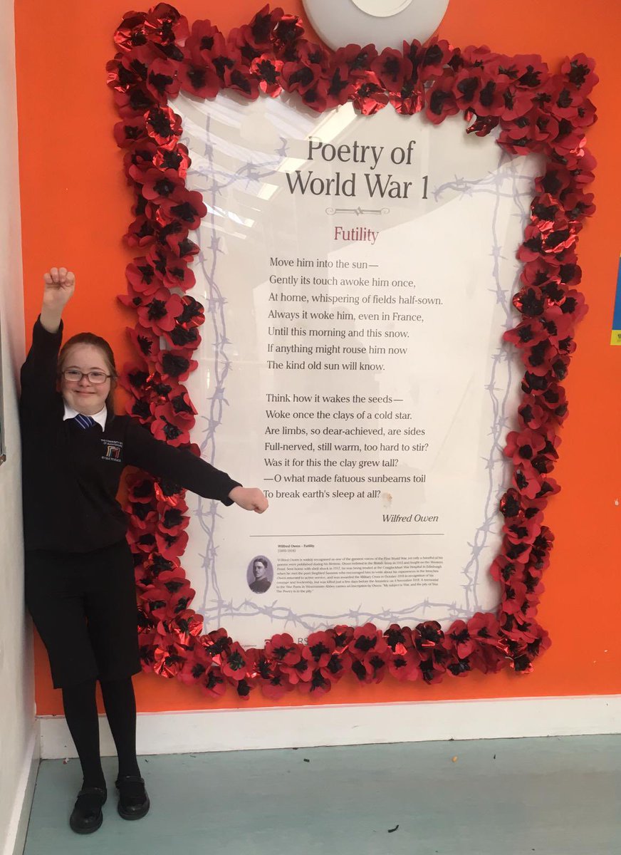 TCSoASfl's tweet photo. Our Remembrance display @TheCSoA is taking shape. Thank you to Daisy, N, R, R, &amp; T  for all your help &amp; especially @luhu32. @poppyscotland #LestWeForget https://t.co/stMIFE90Ev