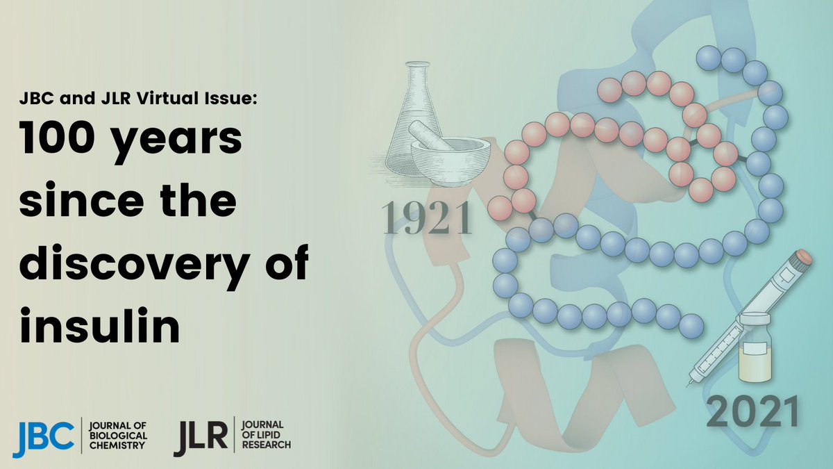 jbiolchem's tweet photo. In this joint virtual issue, we have selected 27 articles published in JBC and @jlipidres over the past century to celebrate the 100th anniversary of the discovery of insulin and the research triumphs that followed ― #DiabetesAwarenessMonth

https://t.co/GVpgWngHyi https://t.co/dmuOqCpgOr