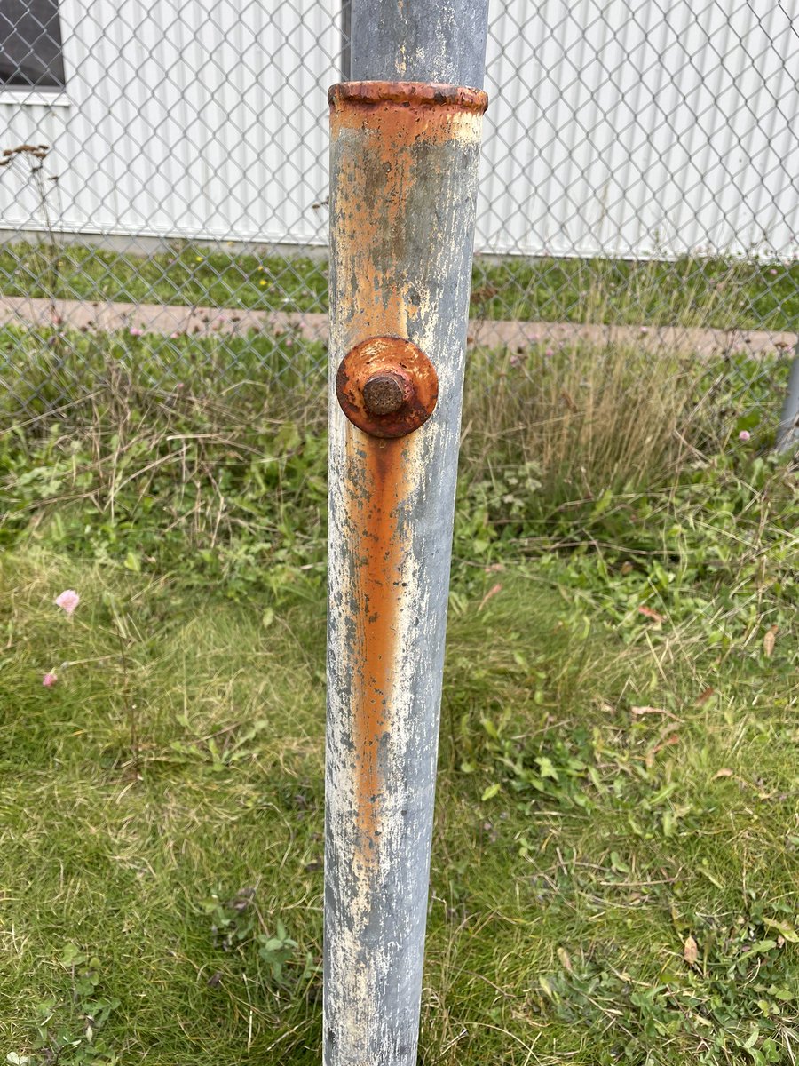 Wendy Myles tweet media