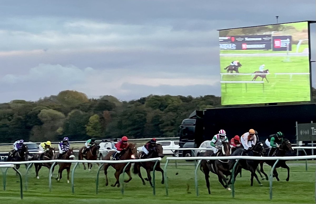 amajox's tweet photo. Congratulations @amajox #EmilyBullock WINS @NottsRacecourse AJA Ladies finale #RegularIncome @ptmidgley #13ran #topride #topjock ππ₯πππππ https://t.co/iUUIqvHxgm