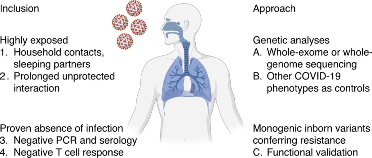 endocryne's tweet photo. An international search for people who are naturally resistant to #SARS-CoV-2. 

By identifying these individuals, the study hopes to identify breakthrough treatments for #COVID19. 

(@Nature) 

https://t.co/0WsrBG44uO https://t.co/dVglZoSQA0