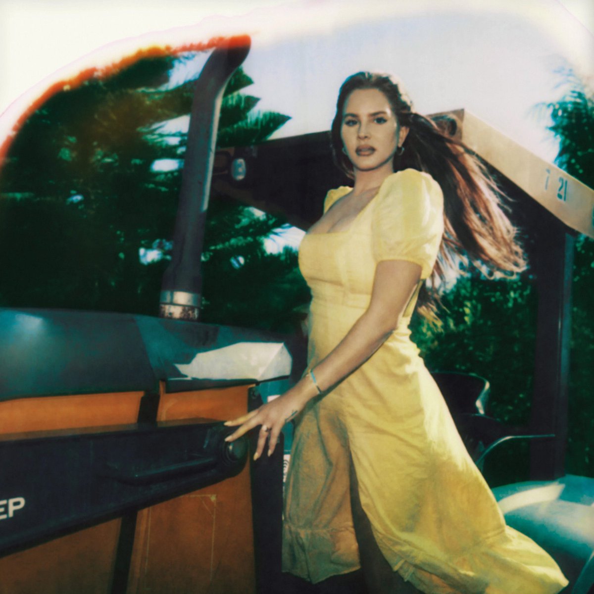PopBase's tweet photo. With ‘Blue Banisters’ becoming her sixth chart-topper, Lana Del Rey is now the act with the most #1’s in the history of Billboard’s Alternative Albums chart. https://t.co/GzRqXMlKQK