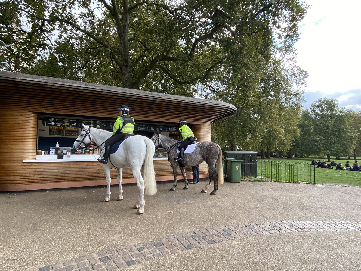 lisashukov's tweet photo. Staying slightly more than 2 metres away while waiting for my coffee this afternoon but these two Green Park horses were absolute beauties! https://t.co/zXa1Q7FD0T