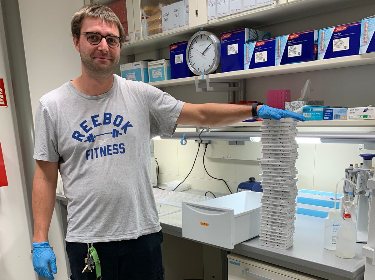It took me 9 full working days to extract 3316 Malaise Trap samples. Lessons learned: Sleep is not that important. Maybe it's time to scale down. I need to lose some (more) weight. 36 plates of PCR incoming. @leeselab  #upscaling #insectmonitoring #metabarcoding