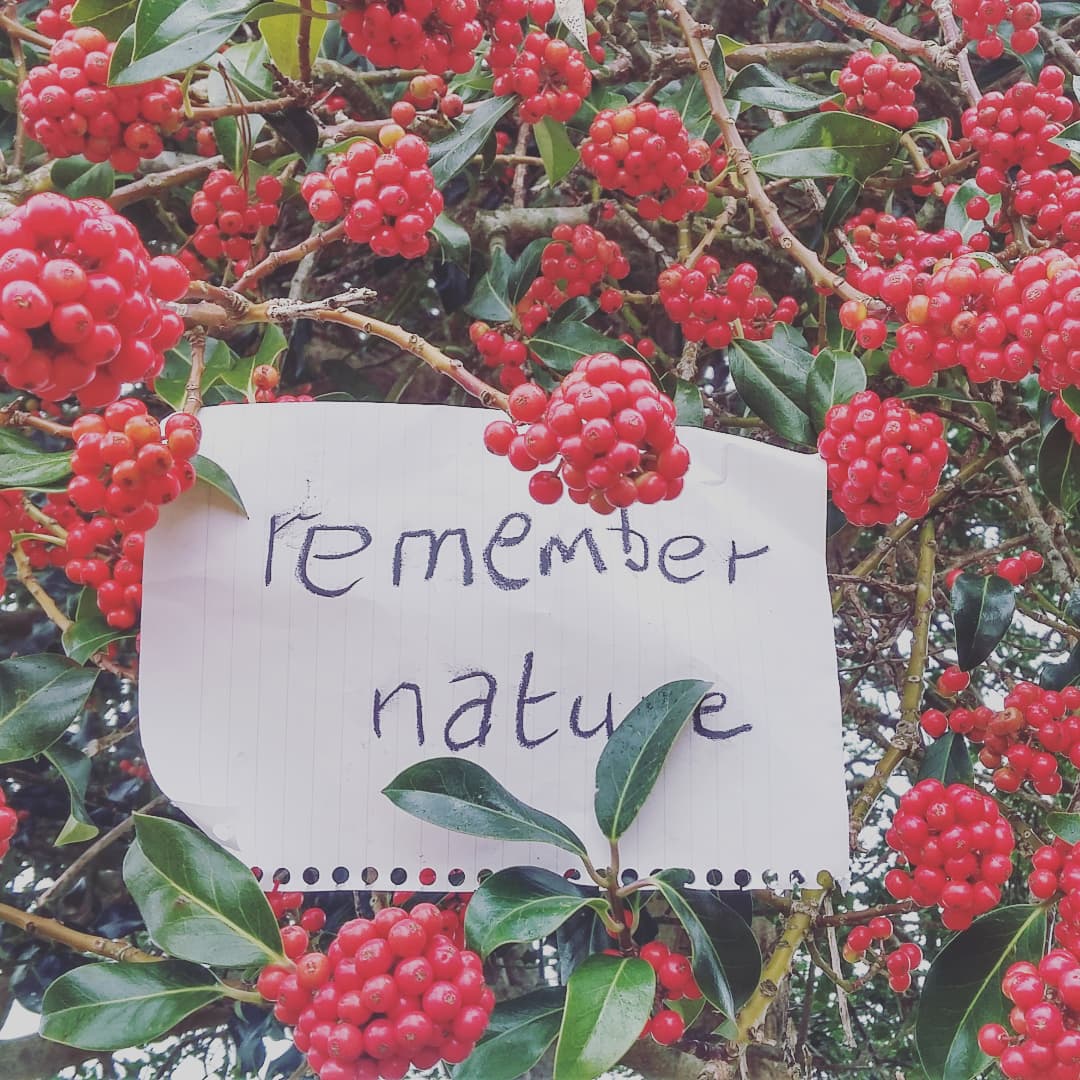 PhilBartonKBT's tweet photo. Join a group of local artists taking action to Remember Nature tomorrow in Launcestone town square. And if you can't be in Cornwall, take a creative action tomorrow wherever you are and tag it #remembernature ! @COP26 #gustavmetzget #ecologicalart #climatebreakdown #activistart https://t.co/uJSNKpauu7