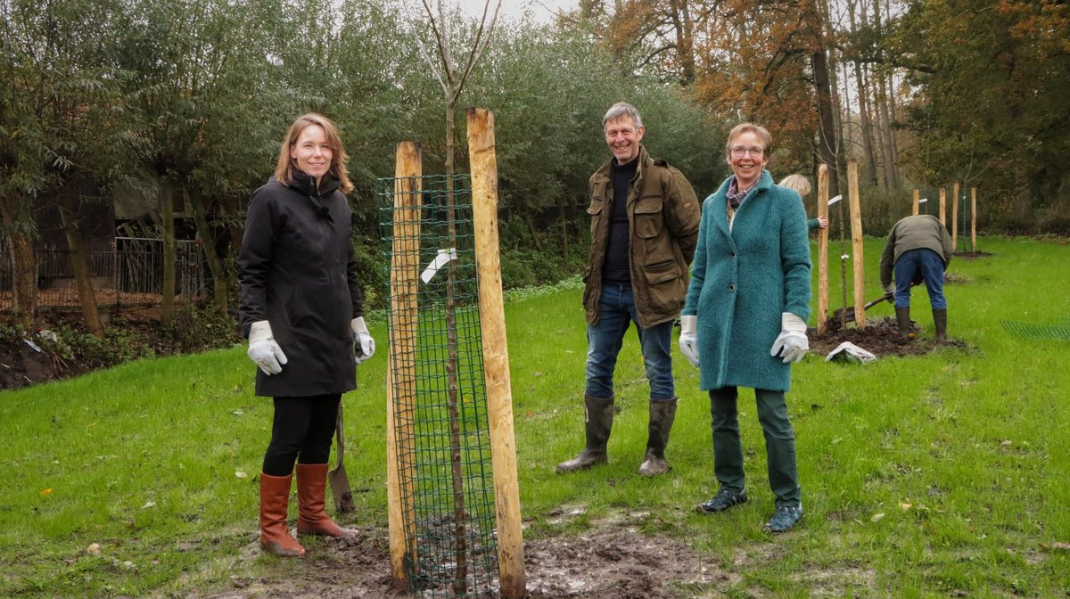 HankeBruinsSlot's tweet image. Met de aanleg van een hoogstamboomgaard is gevierd dat 23 partners van Platform Kleine Landschapselementen de samenwerking voortzetten. Kleine landschapselementen zoals knotwilgen, fruitbomen en poelen zijn goed voor biodiversiteit en landschap.