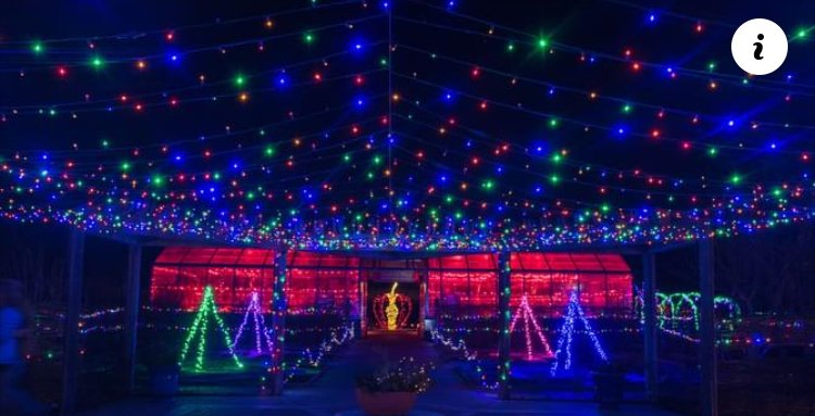 kcballet's tweet photo. SAVE THE DATE | Nov. 12-14 #KCBallet Second Company will perform a short, holiday themed medley of dances for Powell Gardens "Festival of Lights" Nov. 12-14 at 5:30, 6:30, and 7:30 p.m. Included w/tickets to @PowellGardens https://t.co/BGAvIjzuBO #KCBSecondCo #ThingsToDoInKC https://t.co/NskRIuCNO1