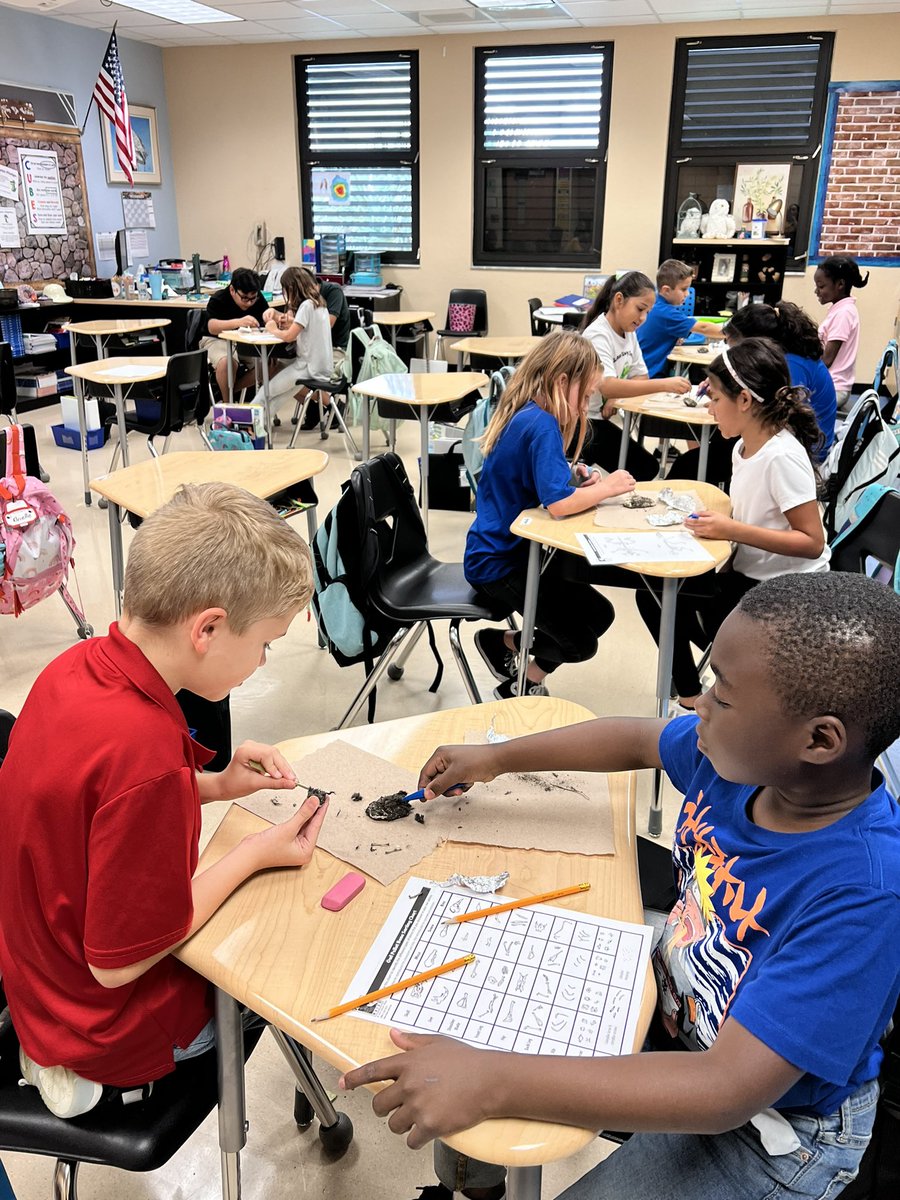 MsVandewerken's tweet photo. Students love going over food chains and seeing the end results of an owl’s lunch. @PLEgators https://t.co/E6dUndh2OD