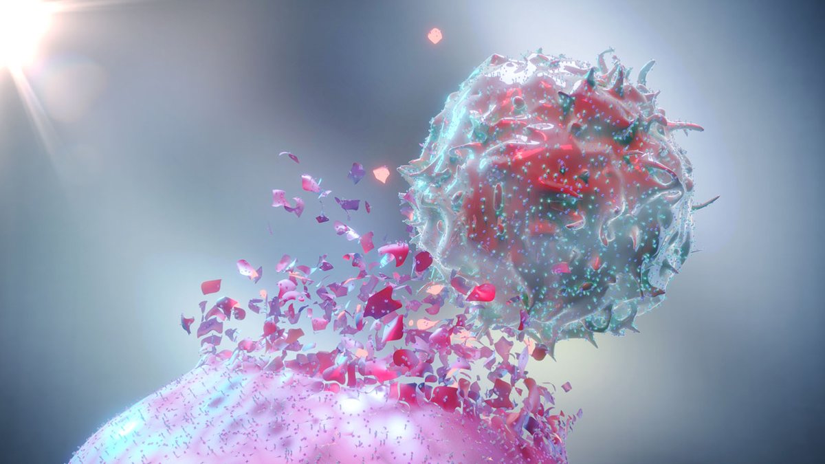 CHOP Research (@chop_research) on Twitter photo A new class of #CARTcells offers a new modality for treating solid cancers like #neuroblastoma via #immunotherapy. In @nature today, <a href="/ChildrensPhila/">Children's Hospital</a>’s Drs. Maris & Yarmarkovich describe how PC-CARS target cancer drivers thought to be unreachable. research.chop.edu/cornerstone-bl… A new class of #CARTcells offers a new modality for treating solid cancers like #neuroblastoma via #immunotherapy. In @nature today, <a href="/ChildrensPhila/">Children's Hospital</a>’s Drs. Maris & Yarmarkovich describe how PC-CARS target cancer drivers thought to be unreachable. research.chop.edu/cornerstone-bl…
