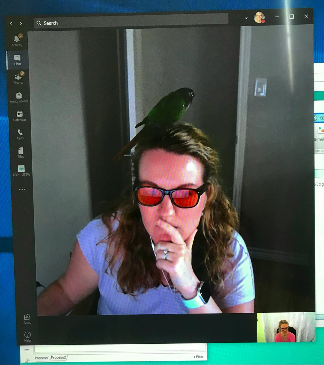 Amy Proskovec, Ph.D. (@alproskovec_phd) on Twitter photo Happy Birthday to the always stylish, exceptionally graceful, dedicated parrot/dog mom, and MEG scientist & technical director extraordinaire, <a href="/EMDavenport_PhD/">Elizabeth Davenport, PhD</a>! 🎉🎂 Happy Birthday to the always stylish, exceptionally graceful, dedicated parrot/dog mom, and MEG scientist & technical director extraordinaire, <a href="/EMDavenport_PhD/">Elizabeth Davenport, PhD</a>! 🎉🎂