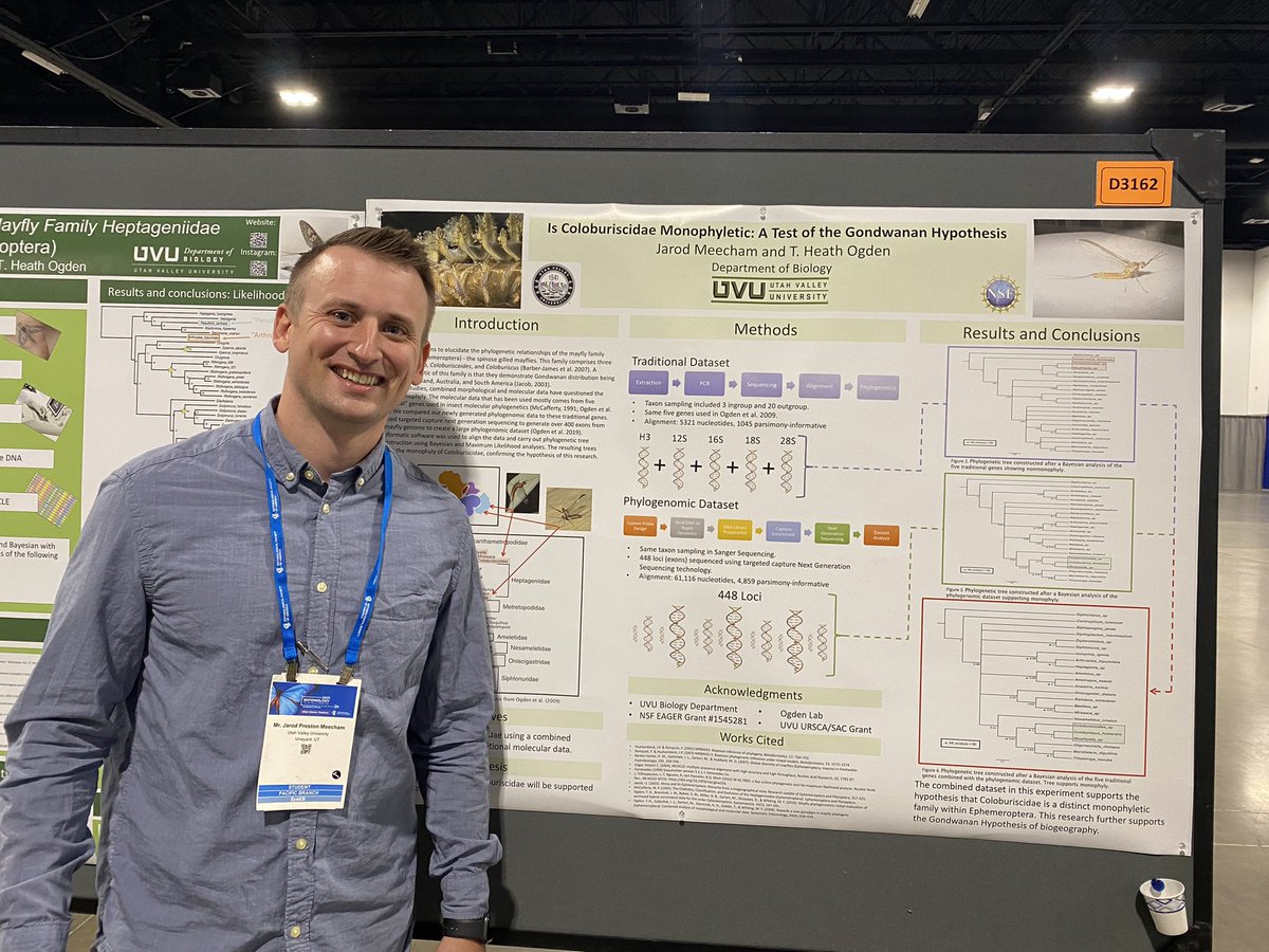 OgdenLab tweet media