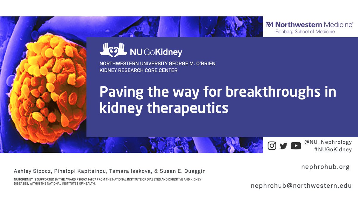 NU_Nephrology's tweet photo. Come visit #NUGoKidney at eposter #INFO10!
Learn about our resources and how we are helping pave the way for breakthroughs in #kidney therapeutics. #Nanomaterial
https://t.co/xe1Gy3FpXd https://t.co/Cx7TfgnWVO