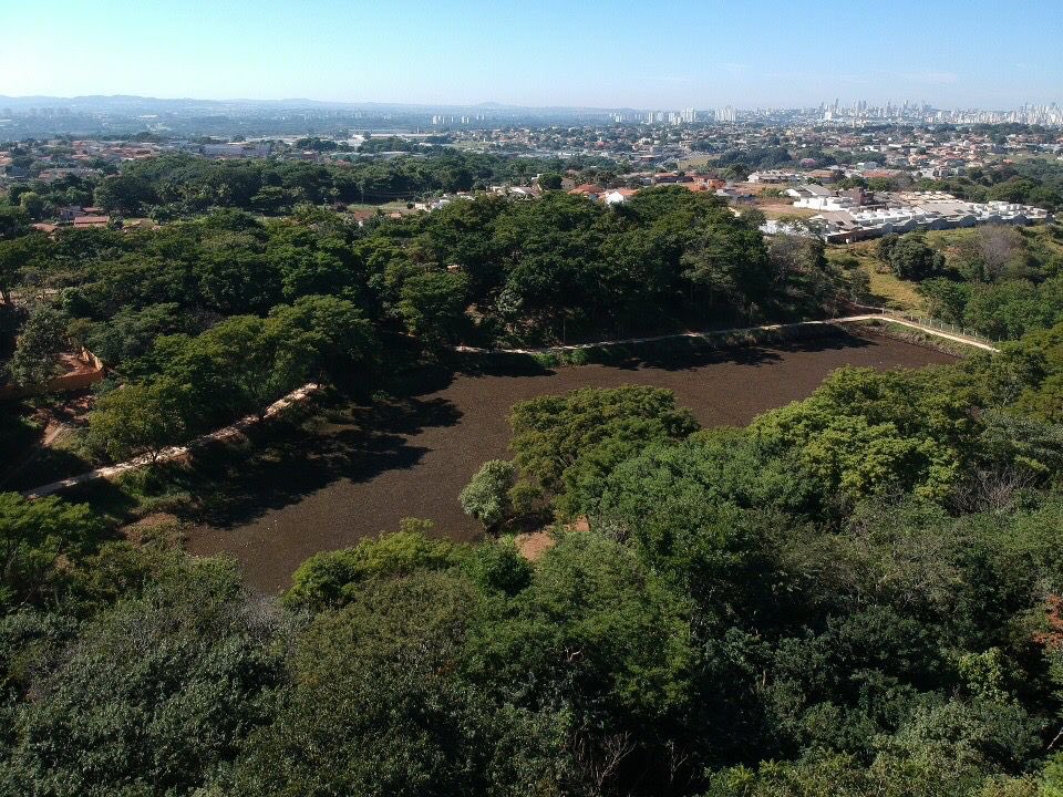 AMMAGOIANIA's tweet photo. Começar a semana com esse antes e depois do Parque das Flores é bom demais! O local estava abandonado e foi completamente revitalizado, com a limpeza e desassoreamento do lago, construção de deck, mirante, pista de caminhada, trilhas internas, parquinhos e estação de ginástica. https://t.co/EXxpP5N3DU