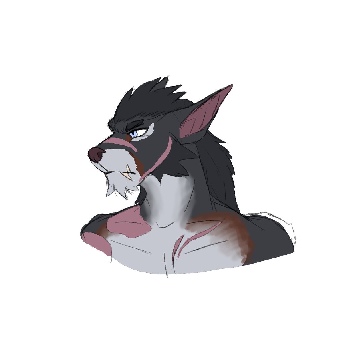 ottomatik_arts's tweet photo. Reminder that my comms are open! I have a sudden need to start saving for a new computer, so please consider! If you can't or aren't interested, please retweet!
https://t.co/piW2ekVUzR https://t.co/wz8Ih6aKzH