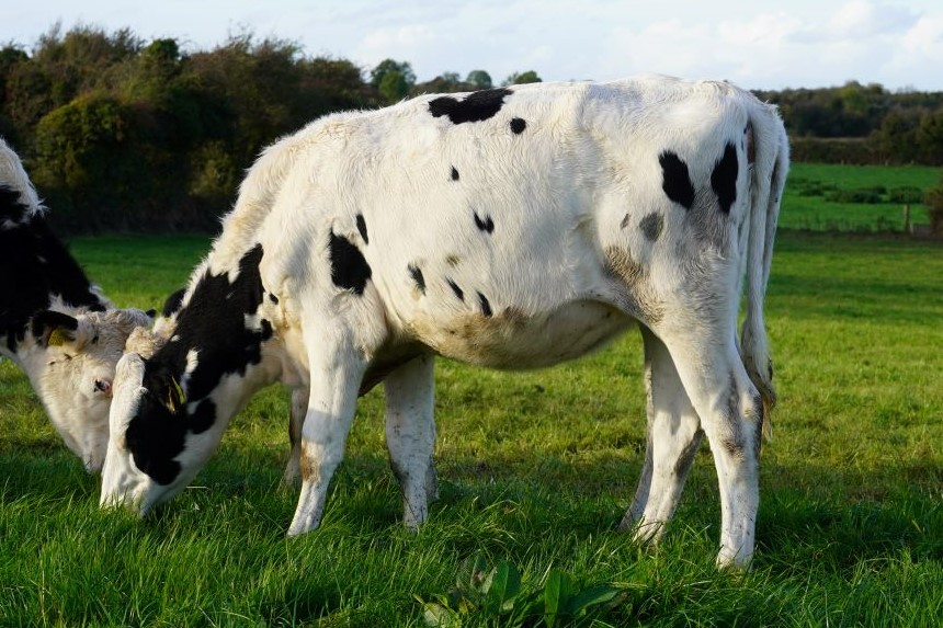 EmeraldHolstein's tweet photo. https://t.co/7NImetup5y