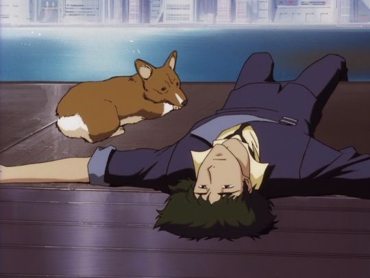 cowboy_bebop___'s tweet photo. Spike and Ein https://t.co/uIdG8QSDlY