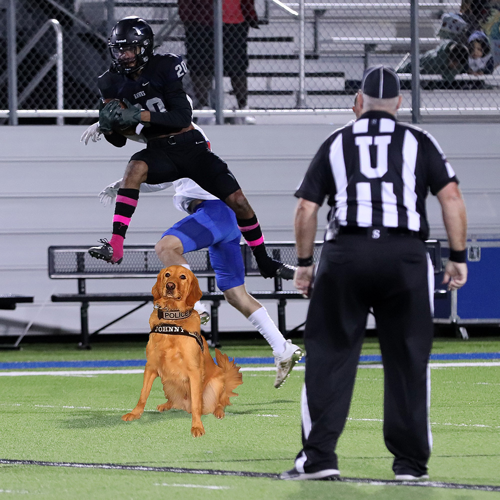 PfISD Libraries (@pfisdlibraries) on Twitter photo Hi Twitter-verse! We could use some follows, so for every 50 new followers, we’ll post a possibly Photoshopped photo of K9 Officer Johnny. Here’s one for starters … <a href="/pfisd_police/">Pflugerville ISD Police Department</a> <a href="/PfISDAthletics/">PfISD Athletics</a> <a href="/HendricksonFB/">Hawk Football</a> <a href="/DBosi05BWright/">Deena Bosier</a> Hi Twitter-verse! We could use some follows, so for every 50 new followers, we’ll post a possibly Photoshopped photo of K9 Officer Johnny. Here’s one for starters … <a href="/pfisd_police/">Pflugerville ISD Police Department</a> <a href="/PfISDAthletics/">PfISD Athletics</a> <a href="/HendricksonFB/">Hawk Football</a> <a href="/DBosi05BWright/">Deena Bosier</a>