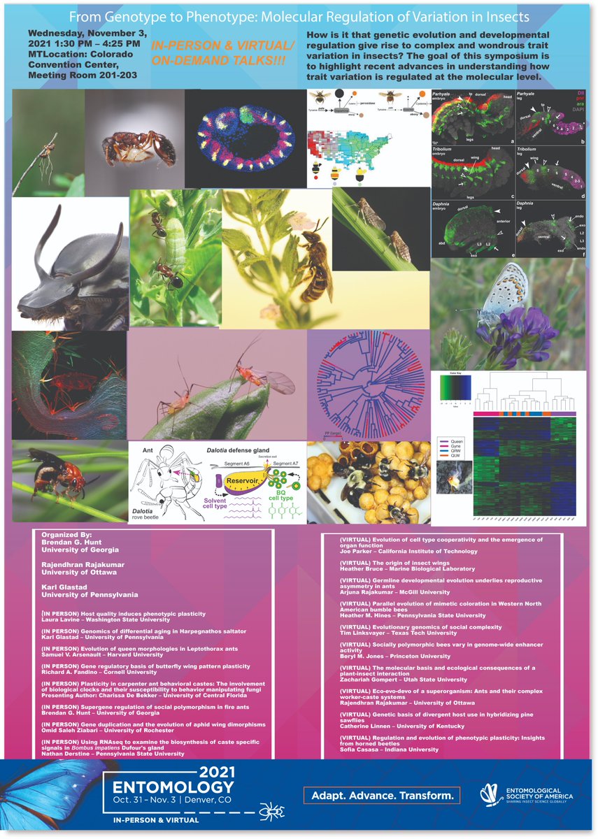 Rajee_Rajakumar's tweet photo. π’ALERTπ’ @brendanimal @Laevorotatory and I co-organized a symposium at #EntSoc21 Here is the poster
(Virtual Talks at https://t.co/00n9lwEFRs)
π₯π₯π₯!CLICK POSTER TO OPEN!π₯π₯π₯
Live Talks in 30 MINUTES!!! https://t.co/IZ7DK1dxEA