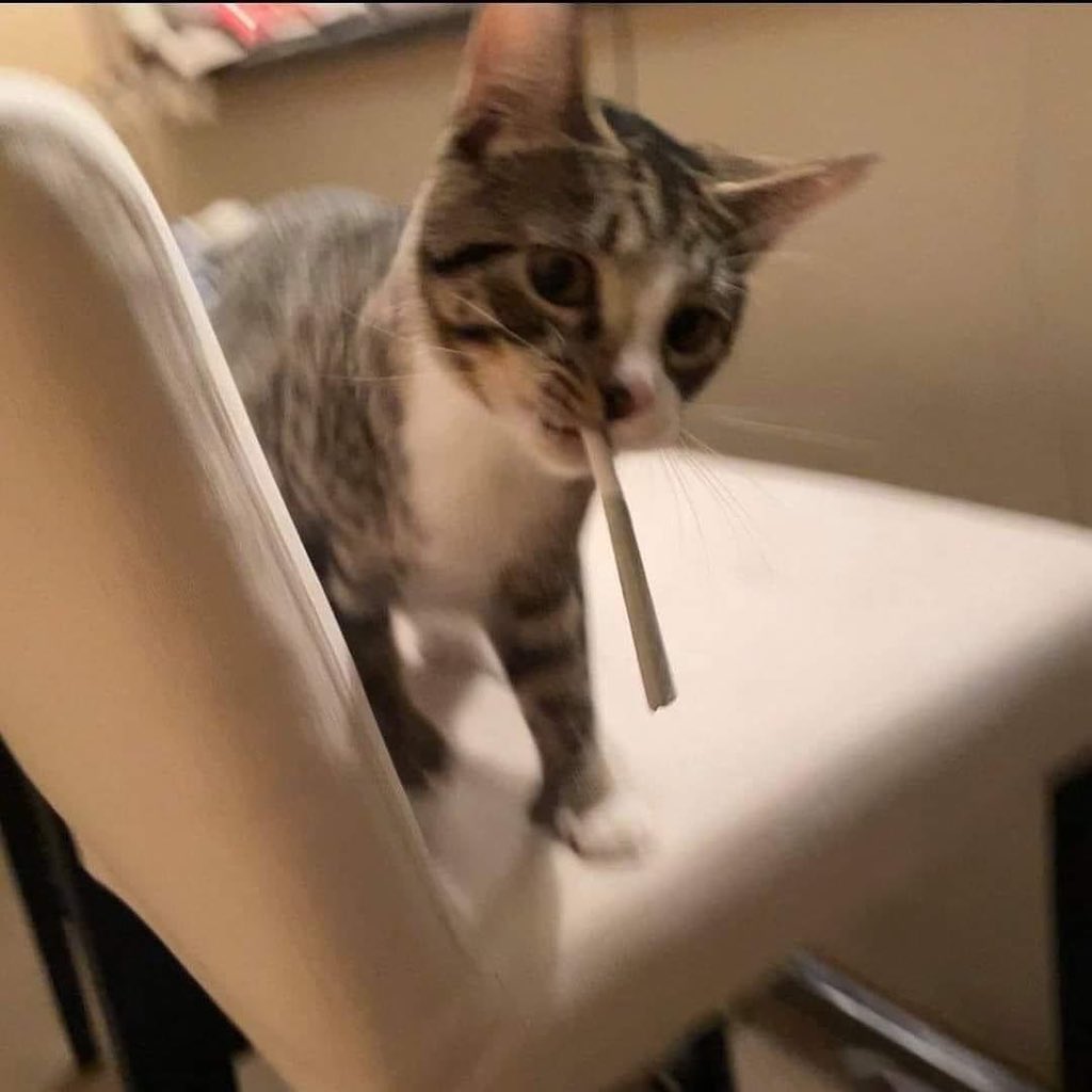 Yaşadık kardeşim o mevzunun da en kralını yaşadık