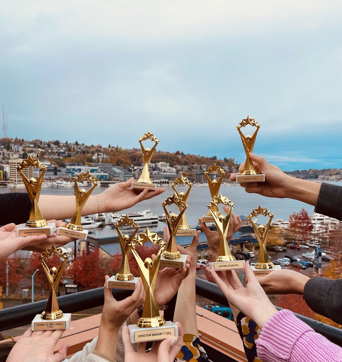TheHutchChapuis's tweet photo. When everyone's a winner! Which T cell are you?  #TcellsinSeattle #Chapuislab @fredhutch https://t.co/R9QVaZhu2A