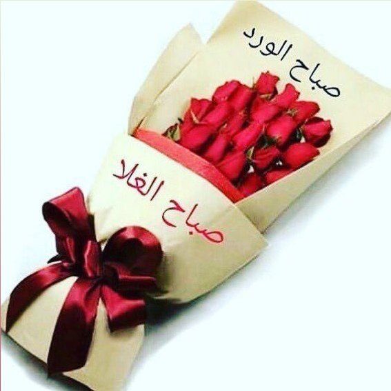 ‏ ‏ننبـ💛̨̥̬̩ض آإلآإمـ💙̨̥̬̩ل tweet media