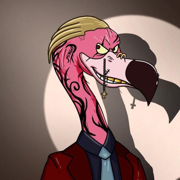 Flash_Mingo | Flashy Flamingos tweet media