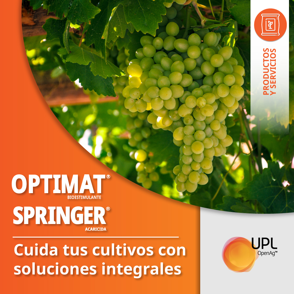 uplagro_chile's tweet photo. Cuando las arañas ataquen tus cultivos de cítricos, nogales y vides necesitas la combinación de Springer© y Optimat©, la dupla perfecta.
Conoce más en https://t.co/3sDanykgKU y https://t.co/yi0O83a0tt
#UPLenChile #UPL #Chile #AgriculturaChile #Springer #Optimat https://t.co/kEmKjf8FTn