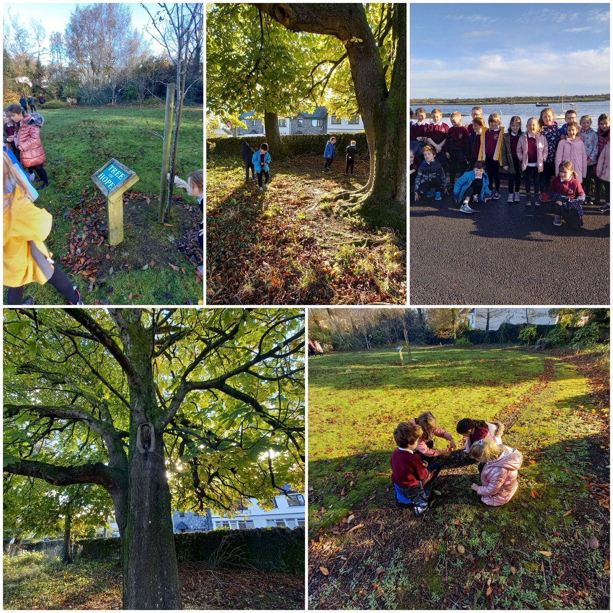 First class <a href="/kinvarans/">Kinvara NS</a> making the most of the sunshine this week🍁🍂🐿🦔🌰
