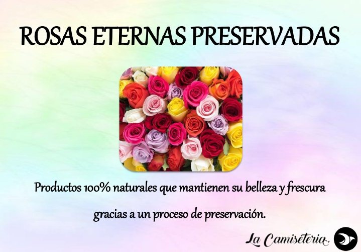 La_Camiseteria's tweet photo. Rosas eternas personalizadas en distintos recipientes (tubo, vaso y cúpula). Hacemos rosas de todos los colores 🌹
#buy #comprar #rosas #rosaseternas #colores #rosasrojas #rosasblancas #colorful #color #original #rosasnegras #rosasnaturales https://t.co/mMuN4mlOR8