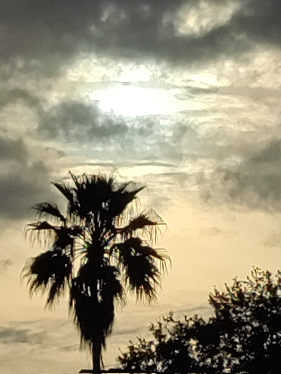 AlexOlivera813's tweet photo. I have been practicing photography these are to shots I got 😊 https://t.co/u9O1gQwVdt